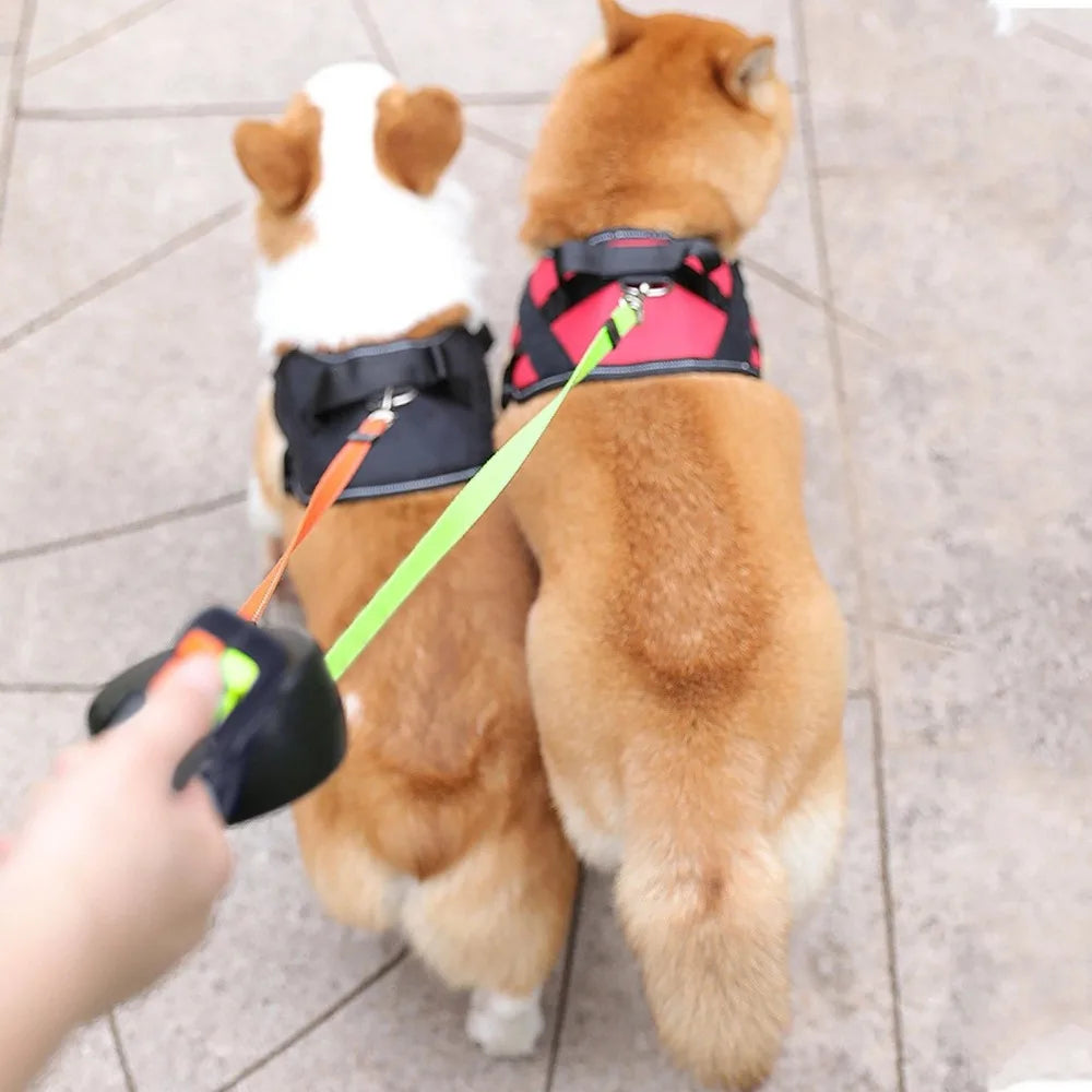Double Retractable Dog Lead with LED – 3M