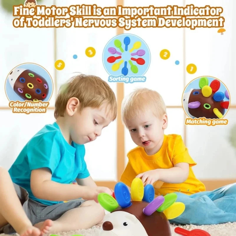 Montessori Sensory Hedgehog Toy for Toddlers