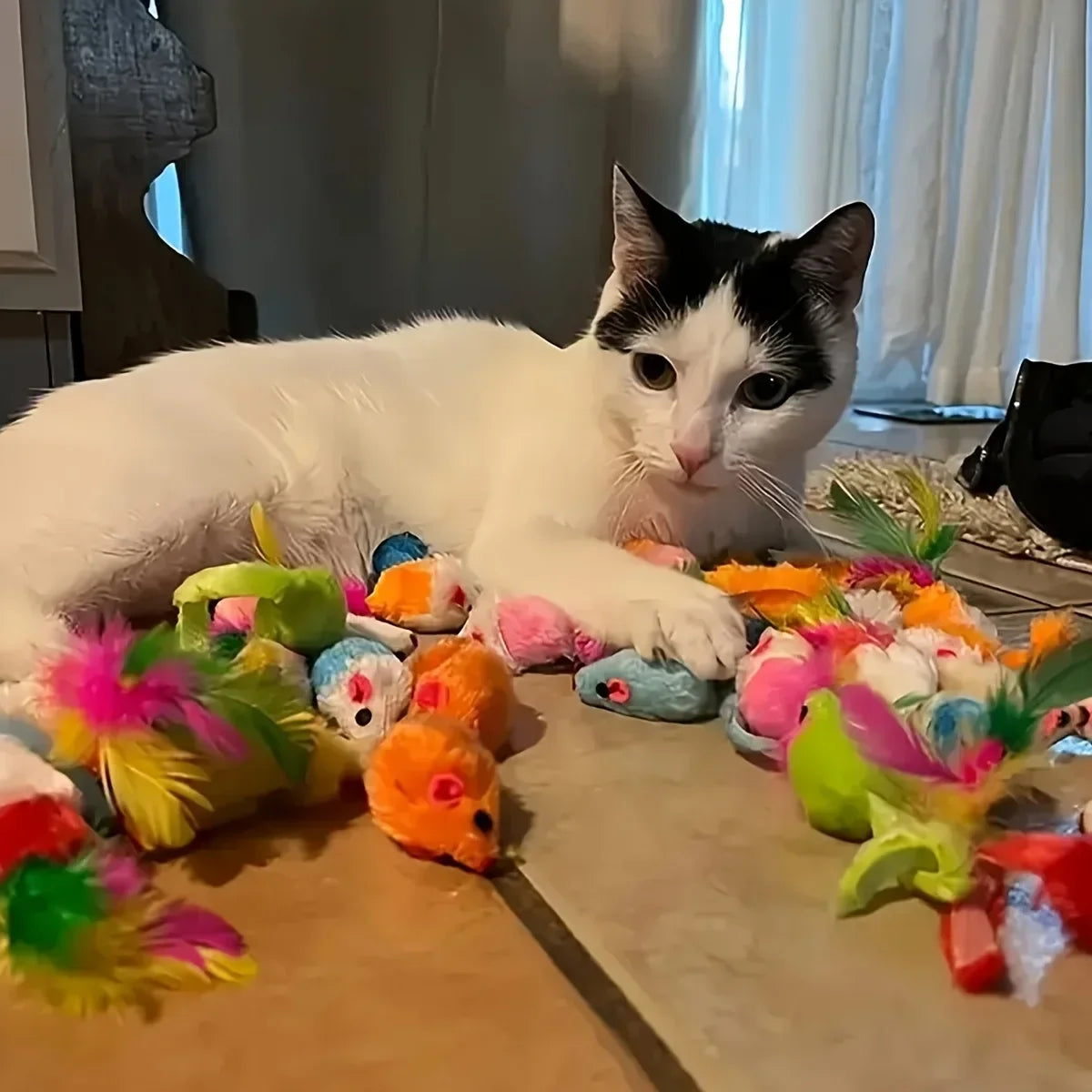 Cat Toys Mixed Pack – 14, 28 & 56pcs